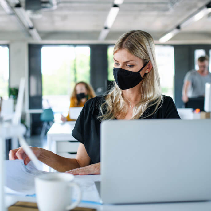 Egresado trabaja con estado Mujer trabaja en computador