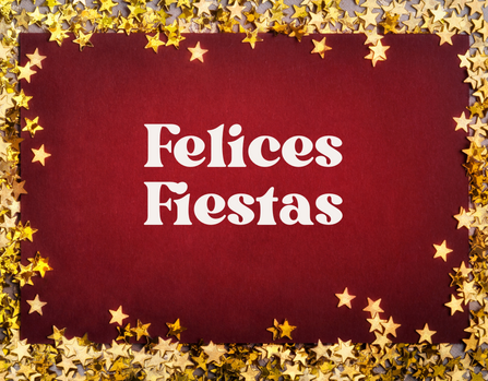 Felices Fiestas