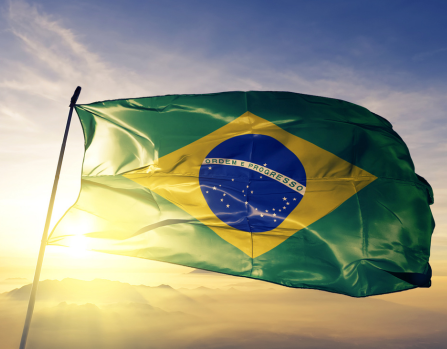 Estudia en Brasil