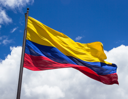 Carrera Diplomática y Consular 