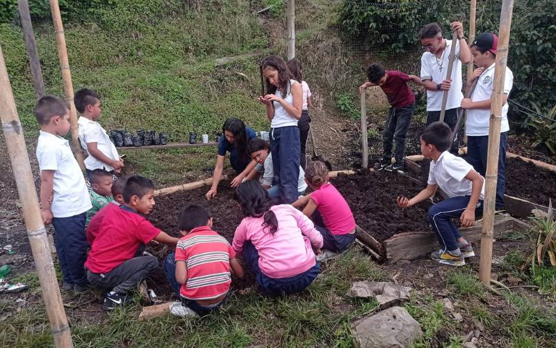 Voluntarios