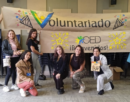 voluntariado bogota presencial